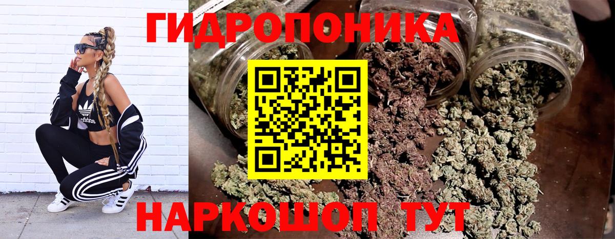 Марихуана индика Сунжа